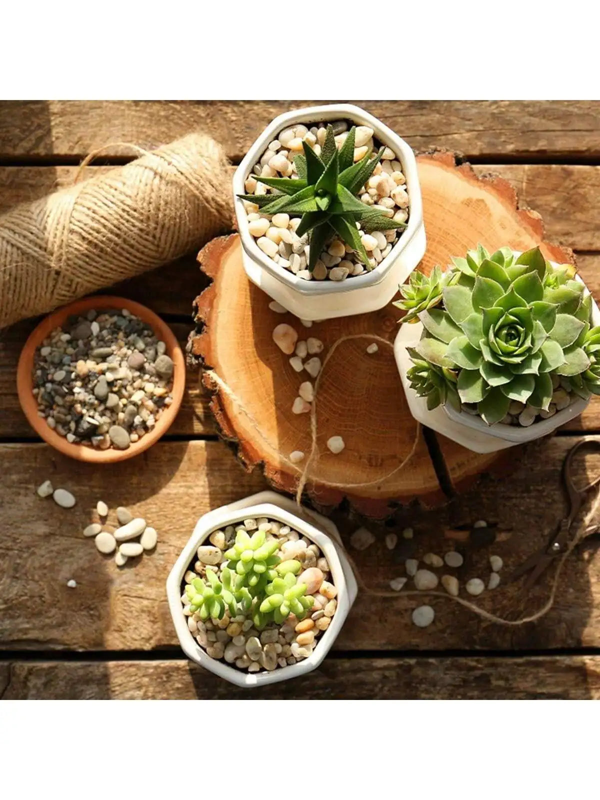 Carvallo ColorMix Dekorativa Natur-Kiselstenar i blandade färger | Smyckestenar för akvarium, trädgård och växtbehållare | Flodkisel för markbeläggning