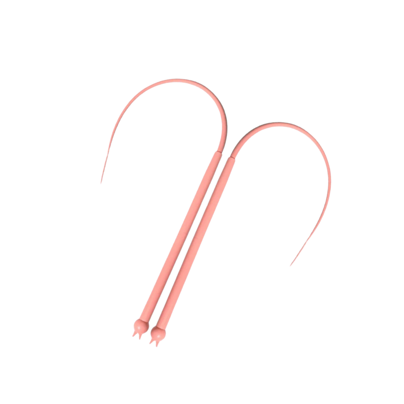 Carvallo | PawJoy – Den kattfiske som väcker instinkter!