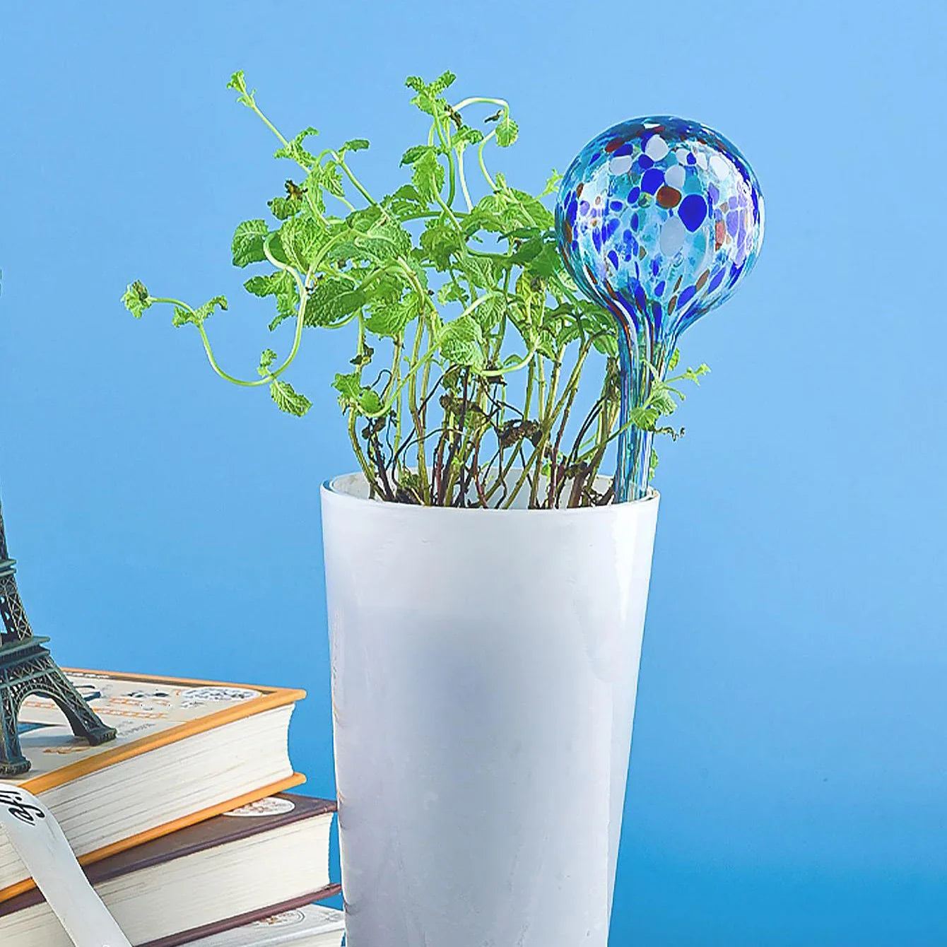 Carvallo Aquadiso | Automatisk växtbevattning | För balkong, trädgård och inomhusväxter