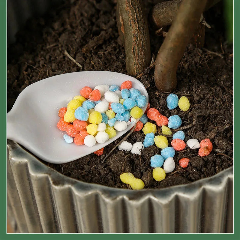 Carvallo Långtidsnäring för Krukväxter | Universalgödsel i Granulatform | NPK-formel med Kväve, Fosfor & Kalium