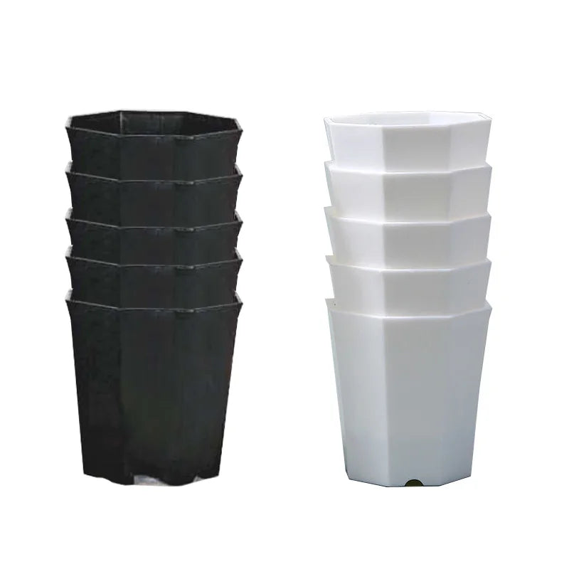 Carvallo Octa | 10-pack åttkantiga blomkrukor | Svart & Vit | Andningsbar | För suckulenter & sticklingar | Ø 8 cm