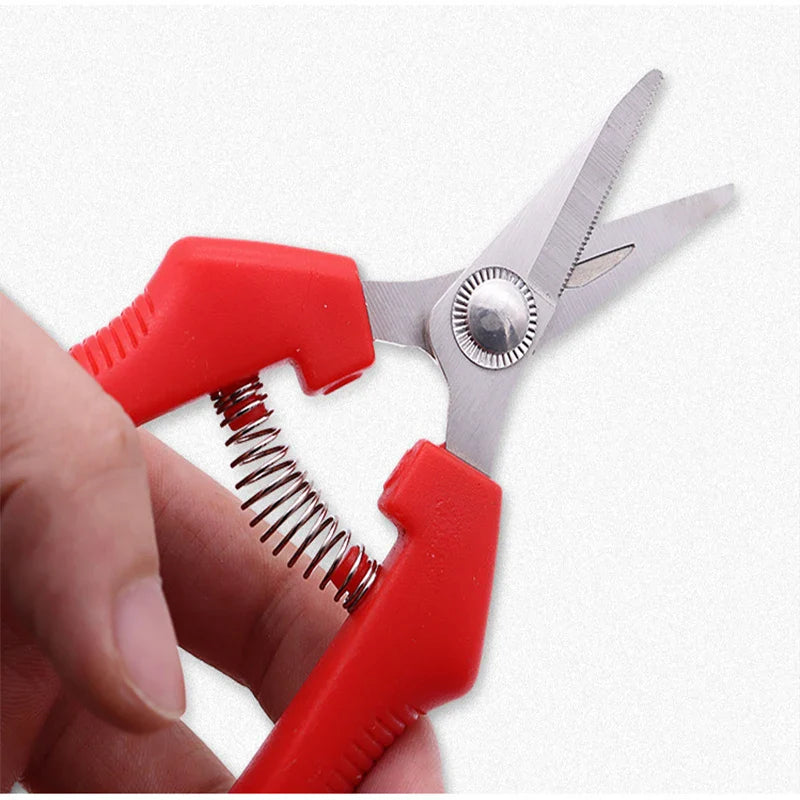 Carvallo Gräsklippare | Precisa klippning för fruktträd & bonsai | Ergonomisk & Vass | För skörd & beskärning