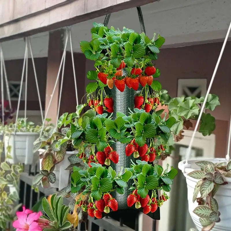 Carvallo Planter bag with 4/6/8/10 openings | Hanging & Breathable | For strawberries, tomatoes & herbs | Durable canvas fabric