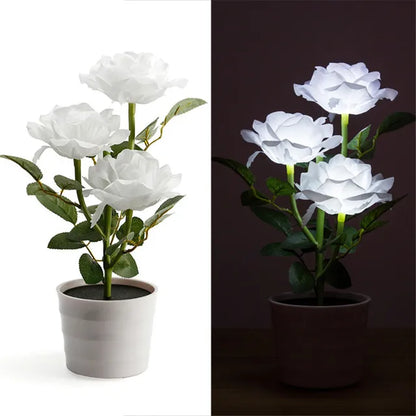 BloomLight - Solrosenlampa