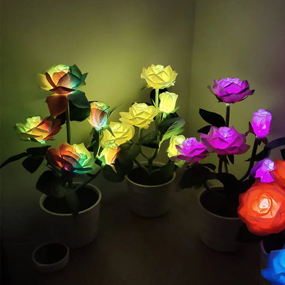 BloomLight - Solrosenlampa