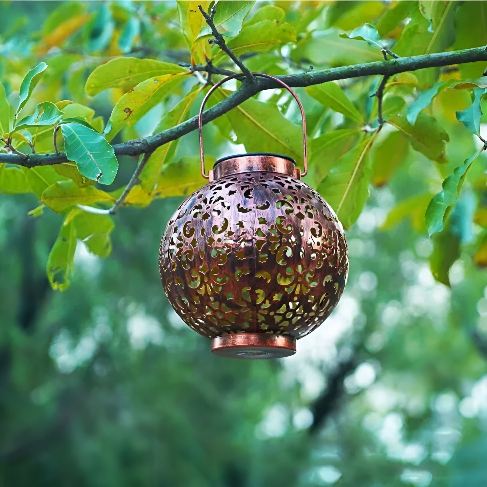 SolarGlow Solarbeteckta Utomhusbelysning – Elegant och Energieffektiv Trädgårdsbelysning