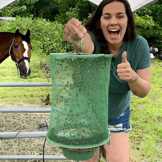 Royaleva Miljövänlig Stabil Fluggång för Utomhusbruk