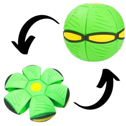 Pawelux Interaktiv Doggy Disc Boll - Säker, Studsig Hämta Leksak för Hundar