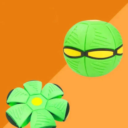 Pawelux Interaktiv Doggy Disc Boll - Säker, Studsig Hämta Leksak för Hundar