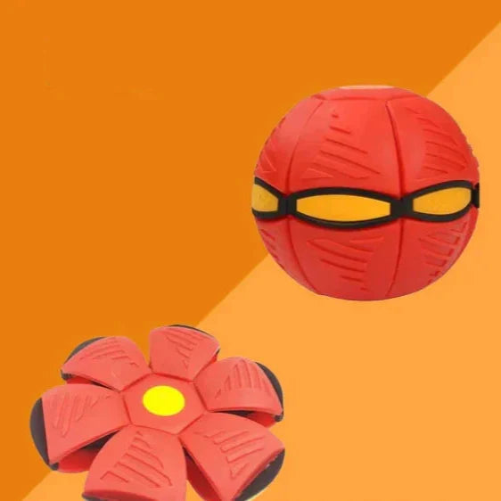 Pawelux Interaktiv Doggy Disc Boll - Säker, Studsig Hämta Leksak för Hundar