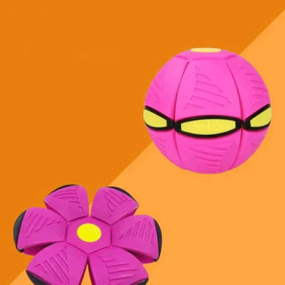 Pawelux Interaktiv Doggy Disc Boll - Säker, Studsig Hämta Leksak för Hundar