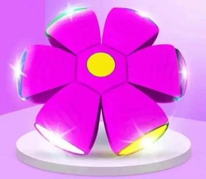 Pawelux Interaktiv Doggy Disc Boll - Säker, Studsig Hämta Leksak för Hundar