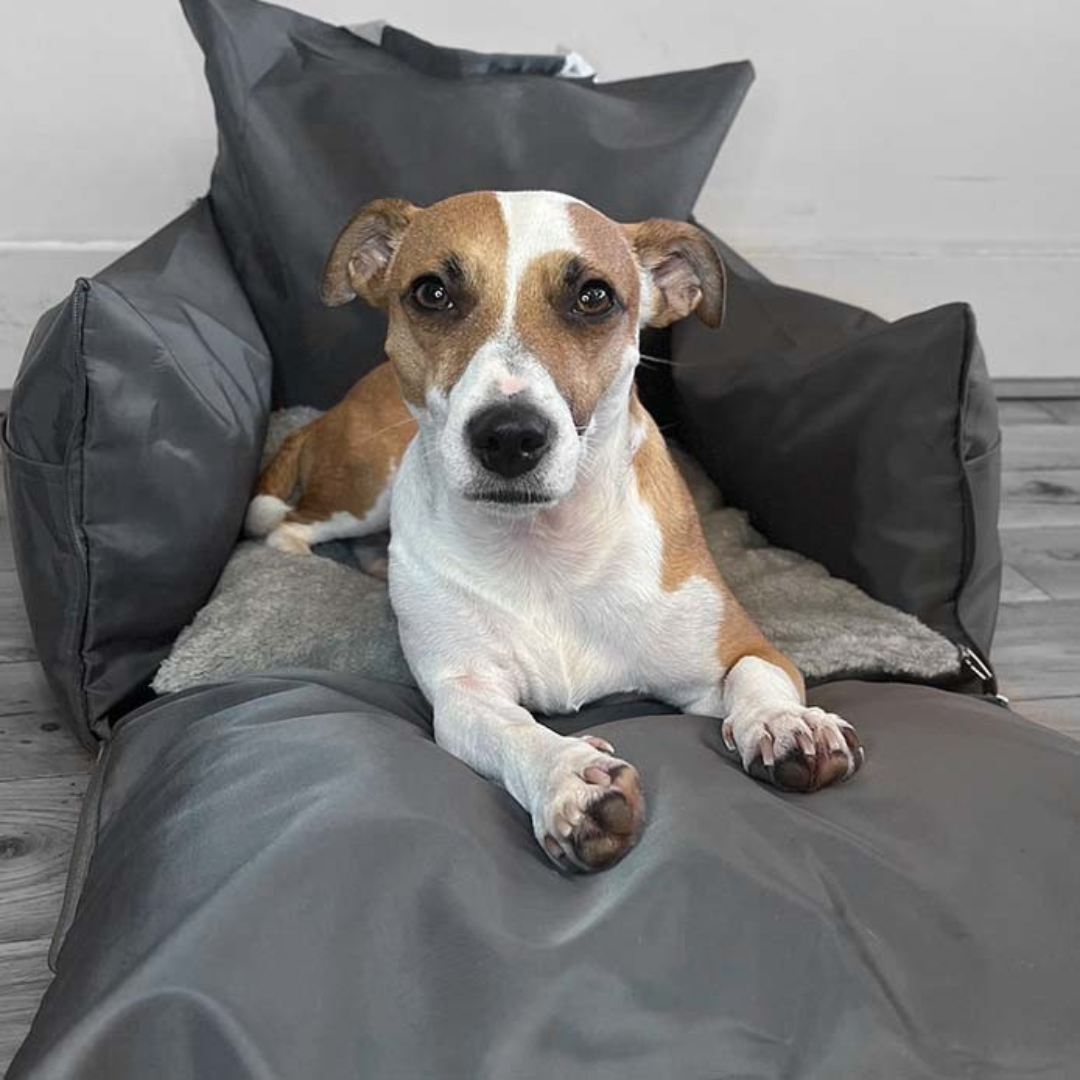 Hundbilstol vattentät resebädd för husdjur