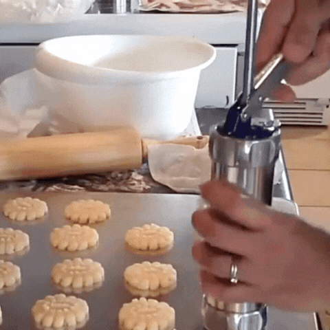 Royallure 25-delars kakpress-set – Aluminium, 20 skivor & 4 munstycken, lätt att använda