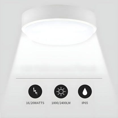 OvalShine Light - Modern Vägglampa med Ytmontering och LED-belysning