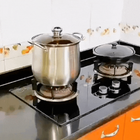 Royallure Stort rostfritt stål grytan för soppor, grytor och vardagsmatlagning