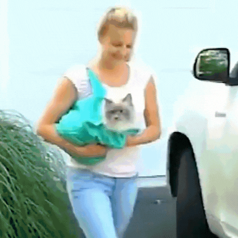 Royallure Mjuk Kattbärväska för Resa – Lätt, Portabel Design med 360° Utsikt och Justerbara Remmar