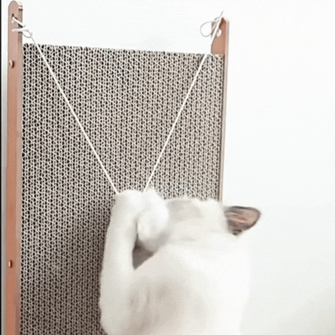 Royallure L-Formad Katt Klösbräda med Lekboll – Multi-Vinkel Avkoppling & Klös Pad