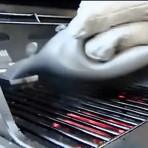 Royallure Steam & Scraper BBQ Grill Cleaner – Stainless Outdoor Steam Brush with Charcoal Scraper