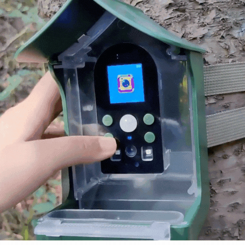 Royallure Smart Fågelmatare med PIR rörelsedetektering och automatisk foto/video inspelning