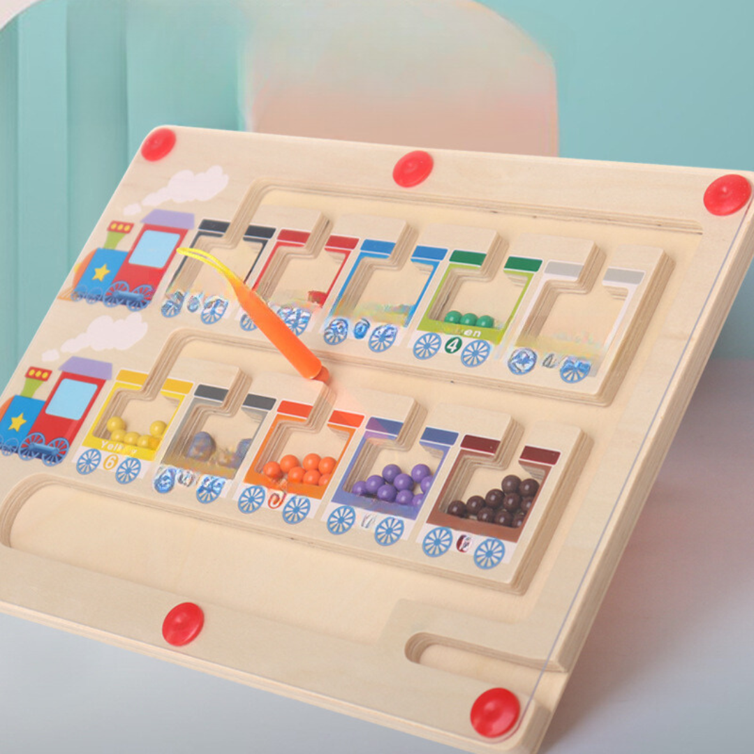 Montessori Magnetiska Labyrinter i Olika Designer
