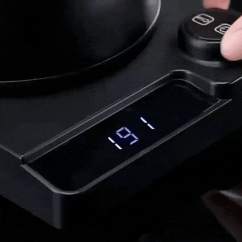 Royallure Elektrisk Gåsnackskanna med Temp Kontroll, Rostfritt Stål Kaffekanna