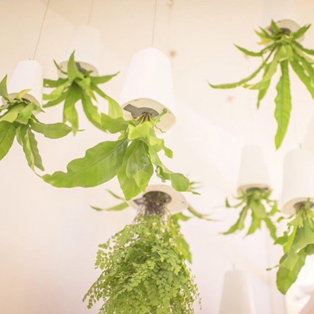 Carvallo Blomkruka SkyBloom | Platsbesparande & Elegant | För Inomhus & Utomhus | Inkl. Upphängning