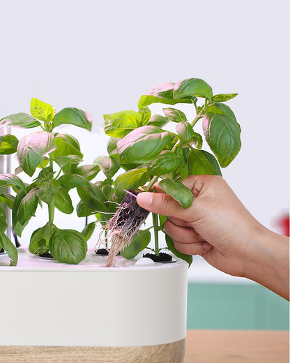 Intelligent hydroponics set för inomhus – Jordfri växtodling för hemmet