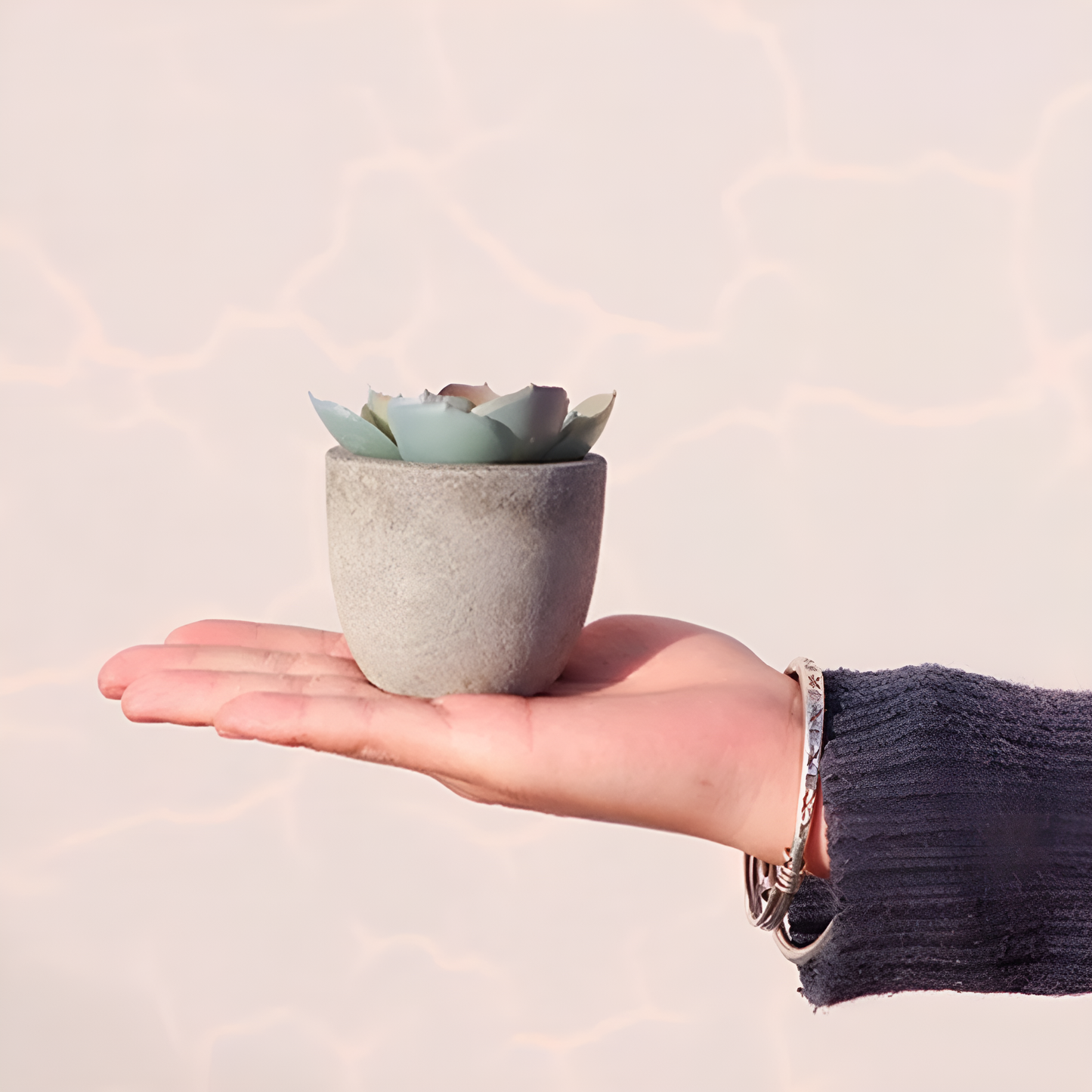 Verdea Konstgjord Suculent Växtdekoration