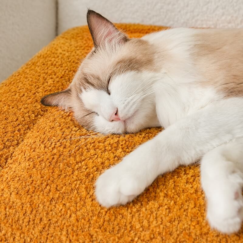 Varm Plush Halkfri Husdjur Mat Mjuk Mysig Mångsidiga Storlekar