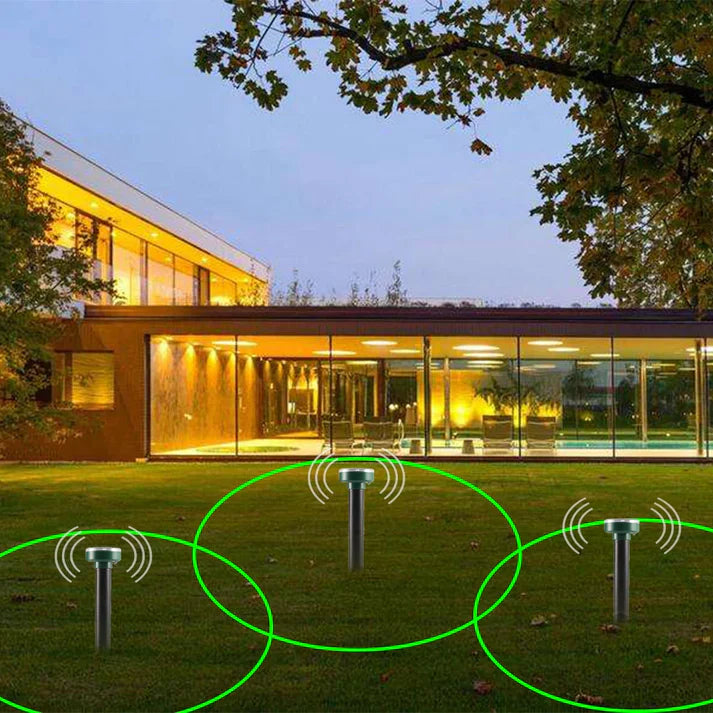 Carvallo - miljövänlig skadedjursbekämpning för friska utomhusområden