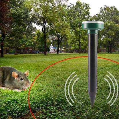 Carvallo - miljövänlig skadedjursbekämpning för friska utomhusområden