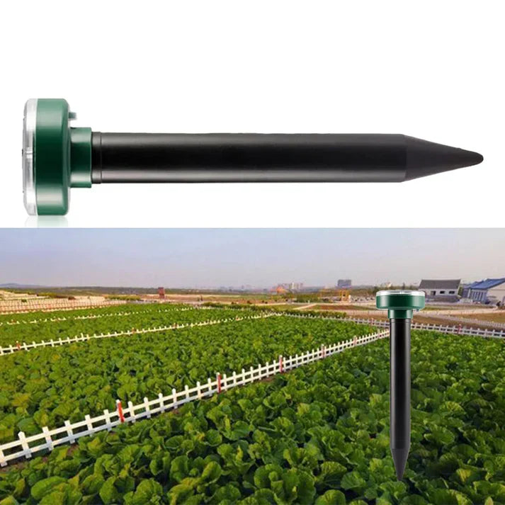 Carvallo - miljövänlig skadedjursbekämpning för friska utomhusområden