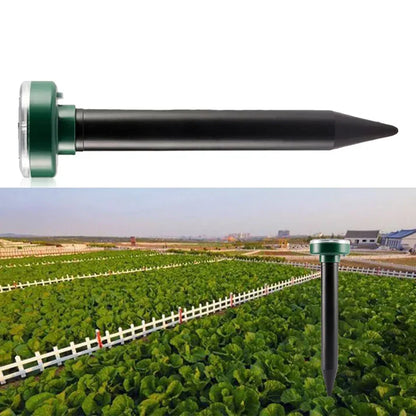 Carvallo - miljövänlig skadedjursbekämpning för friska utomhusområden