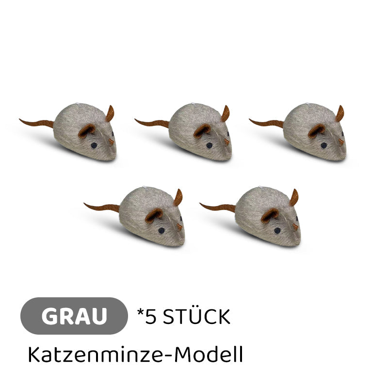 Carvallo | PawChase – Jaga, spela, jaga kul för din katt!