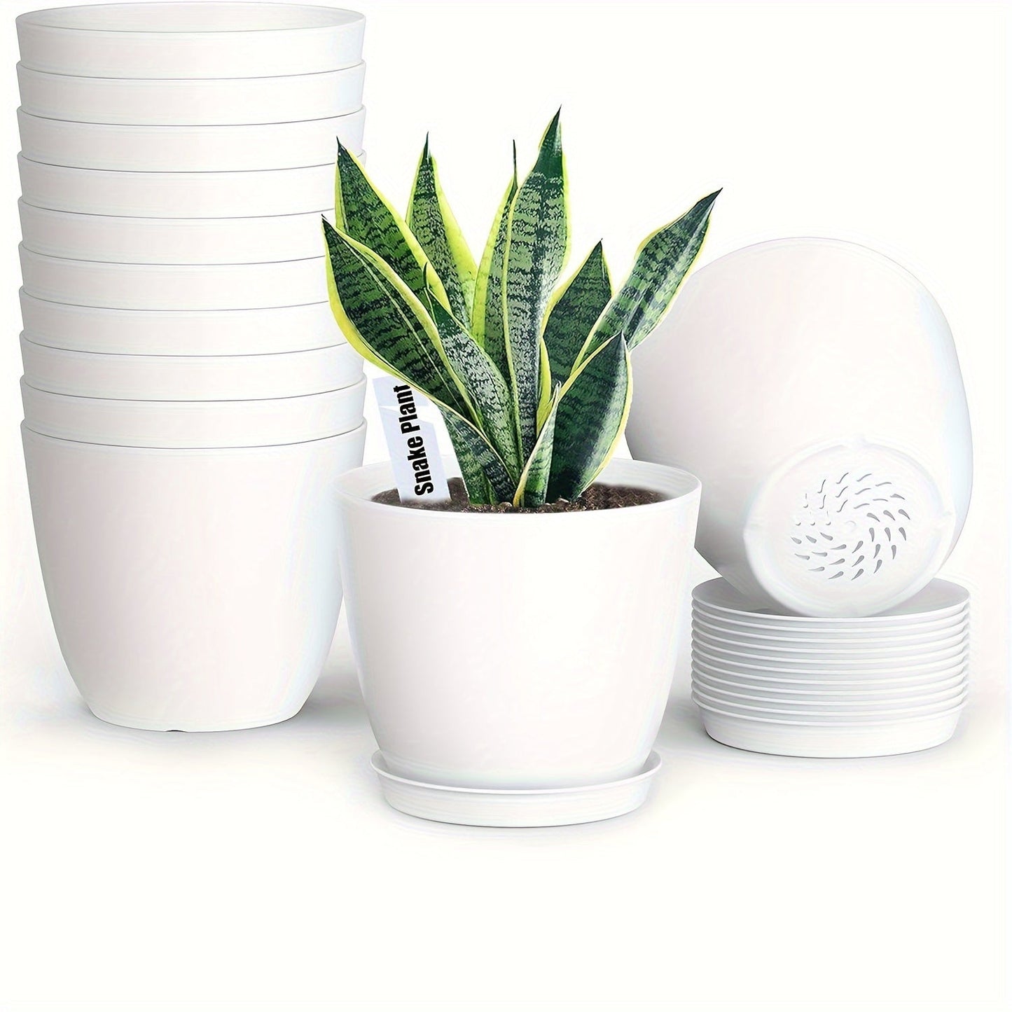 Carvallo-Set FloraCasa | 12-delad med underlägg | För inomhus & utomhus | Väderbeständig plast