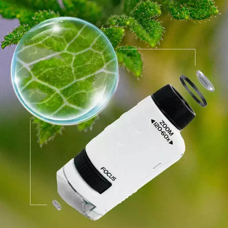 Carvallo – Stora upptäckter i fickformat.