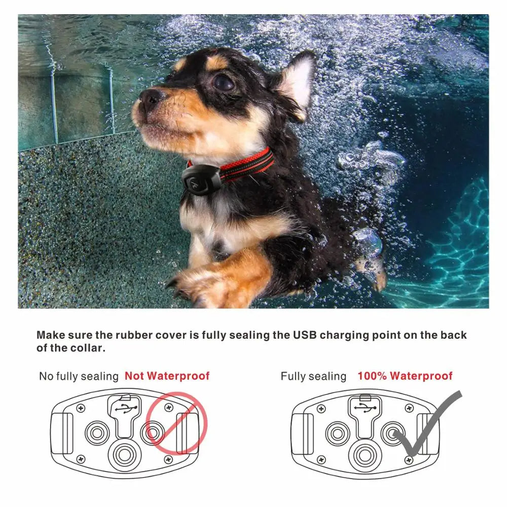 2 i 1 Hund Träningshalsband &amp; Anti Skäll Halsband