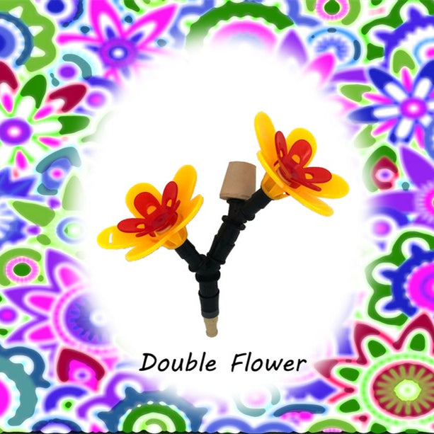 Carvallo – Den smarta baren för kolibrier!