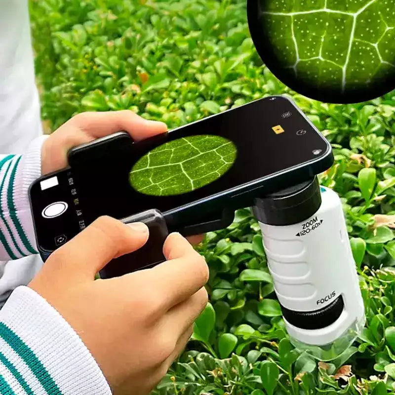 Carvallo – Stora upptäckter i fickformat.