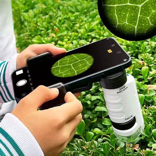 Carvallo – Stora upptäckter i fickformat.