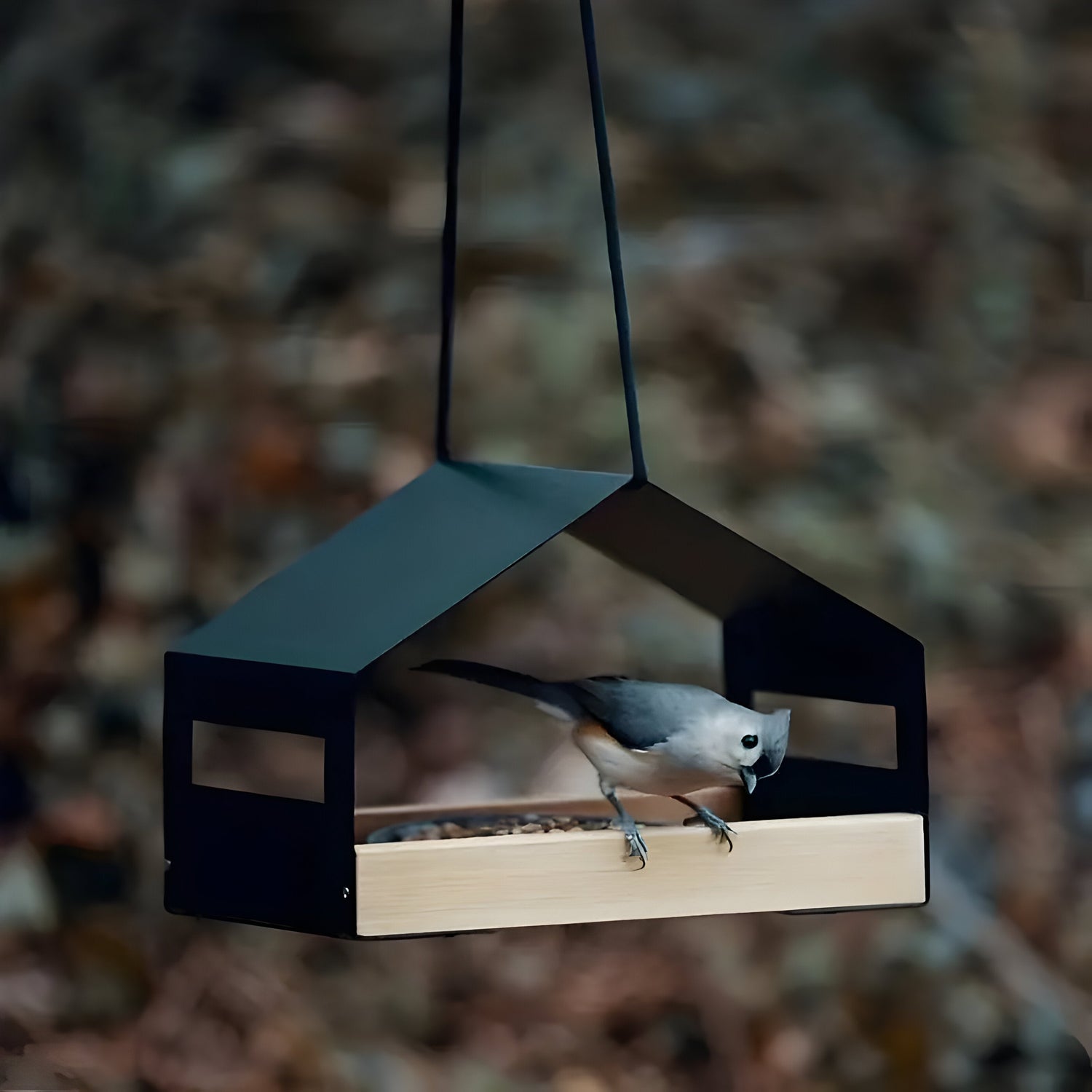 TweetWood Bo | Elegant Hängande Fågelhus