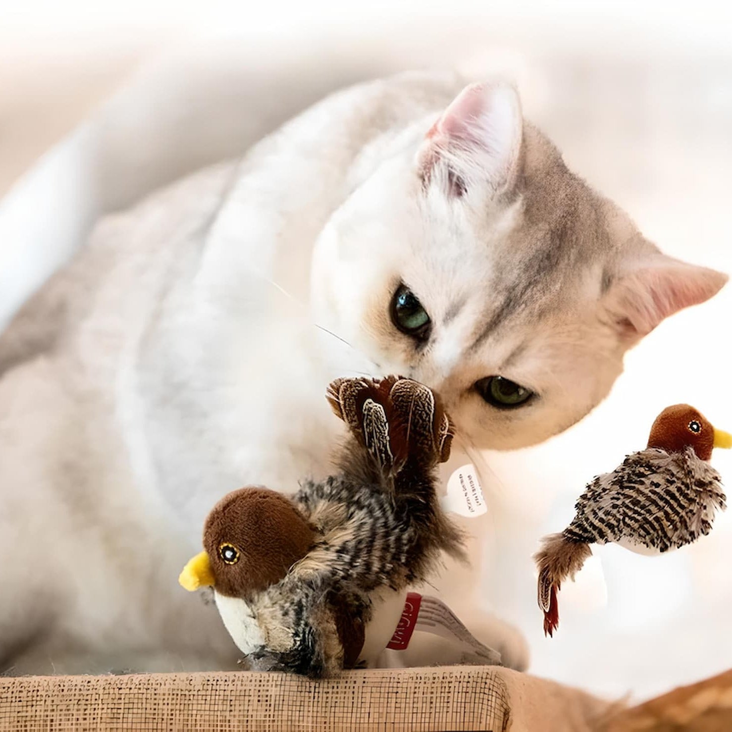 PurrPlay – Interaktiv plyschfågeleksak med realistisk design för engagerande kattlek