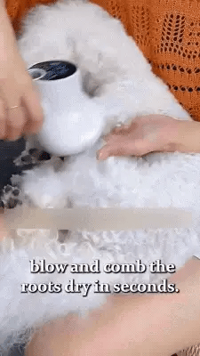 Royaleva 2 i 1 Smart Hundhårblås för Enkel Skötsel