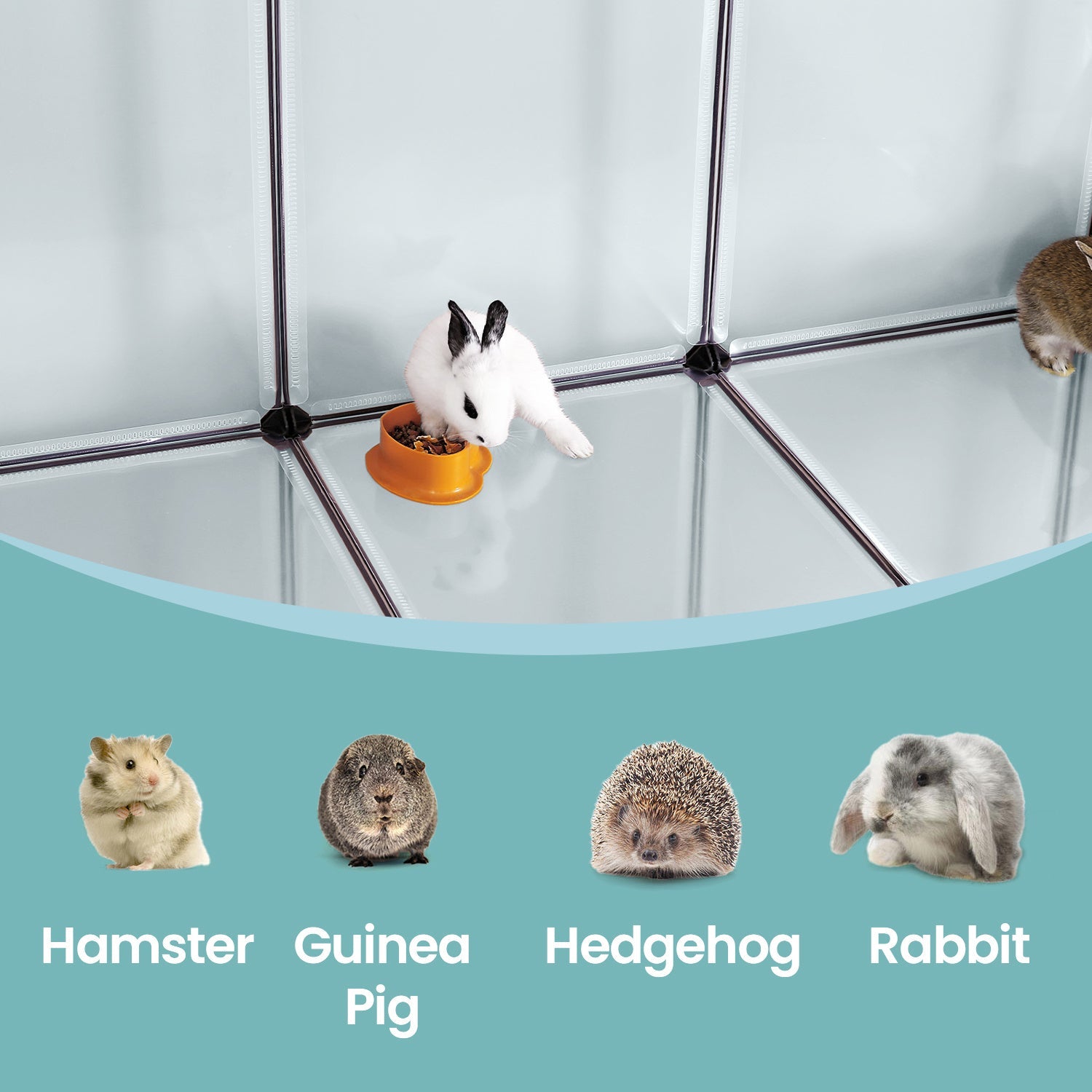 Guinea Pig Run - Litet Djur Inhägnad