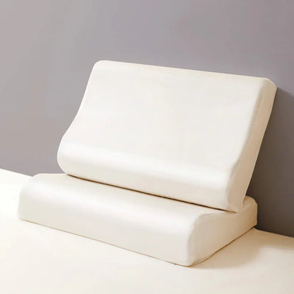 Caelora – Kuddeöverdrag av mulberrysilke och Tencel för lyxig sömnkomfort