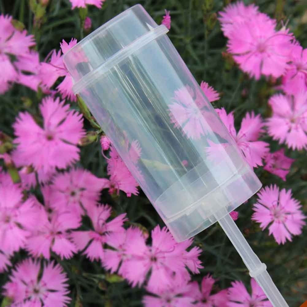 Carvallo - Tårtkärl Cupcakes Push Up (50 stycken)