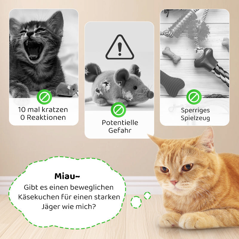 Carvallo | PawChase – Jaga, spela, jaga kul för din katt!