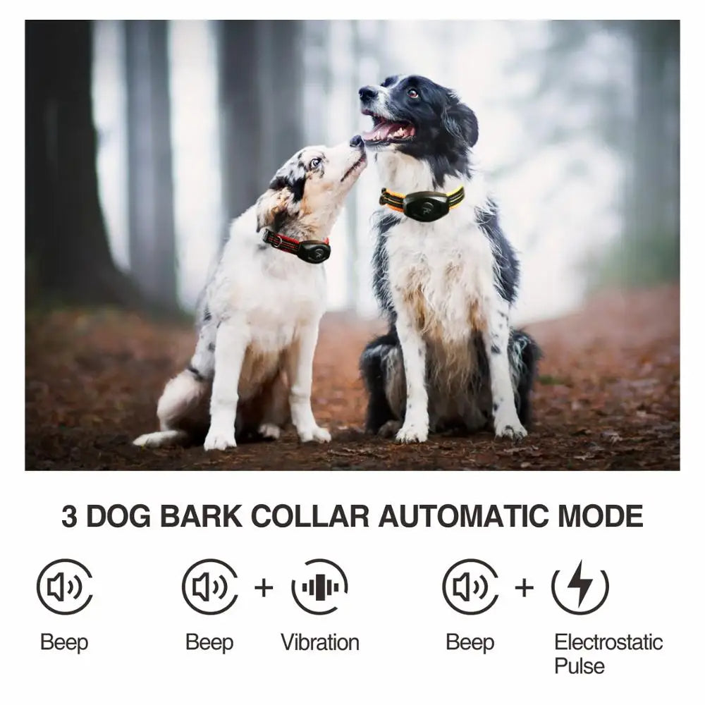 2 i 1 Hund Träningshalsband &amp; Anti Skäll Halsband