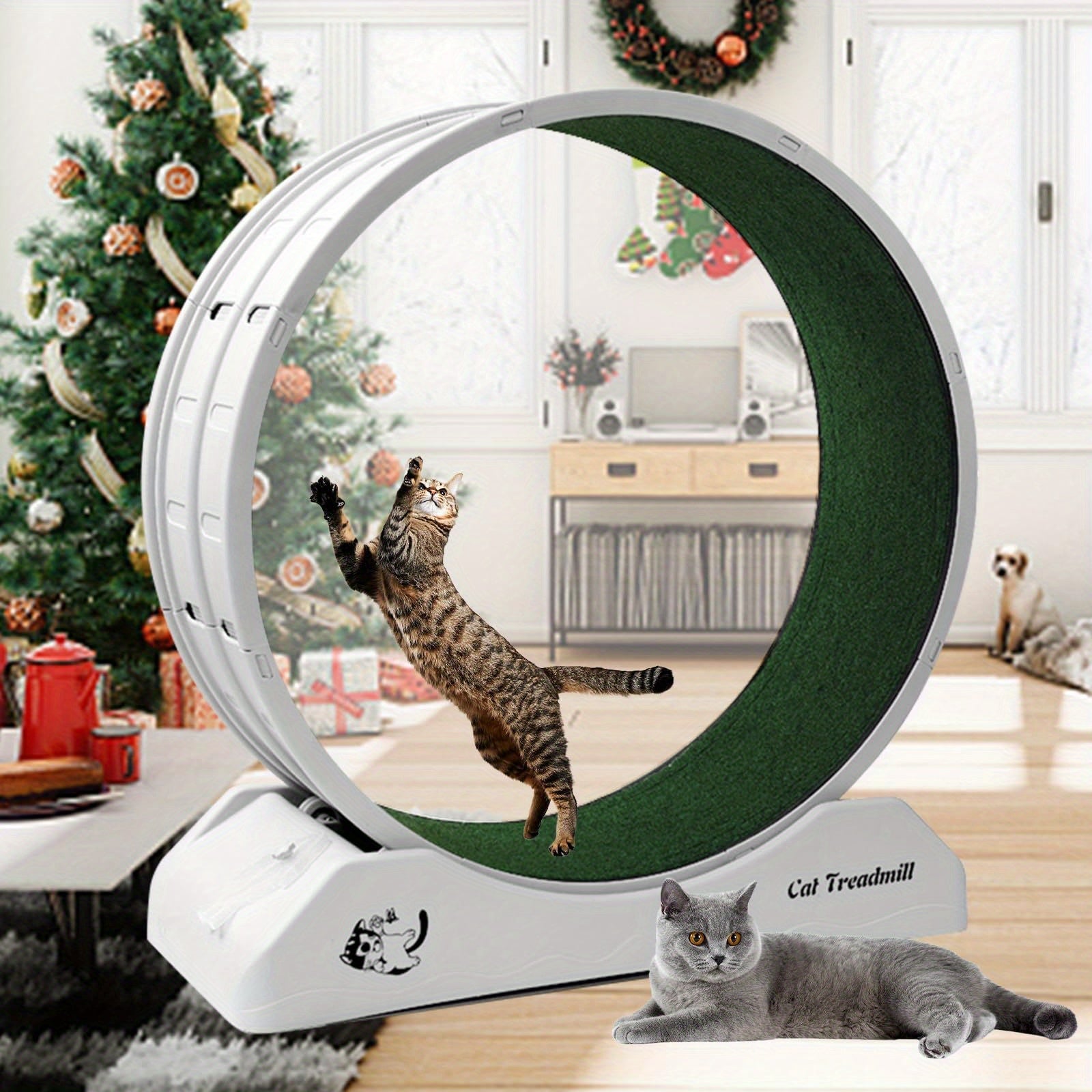 Kattträning Wheel Inomhus Löpande Wheel för Katter Fitness Kul